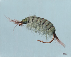 Shrimp 8x10 acrylic on canvas