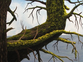 Wild Pacific I - 18"x24" acrylic on canvas